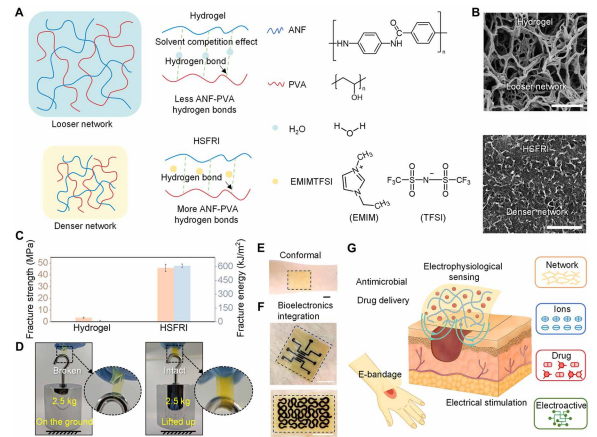 香港大学徐立之教授《Science Advances》：打造下一代智能离子凝胶材料，柔若皮肤、强如塑料！